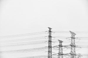 Continuous supply services